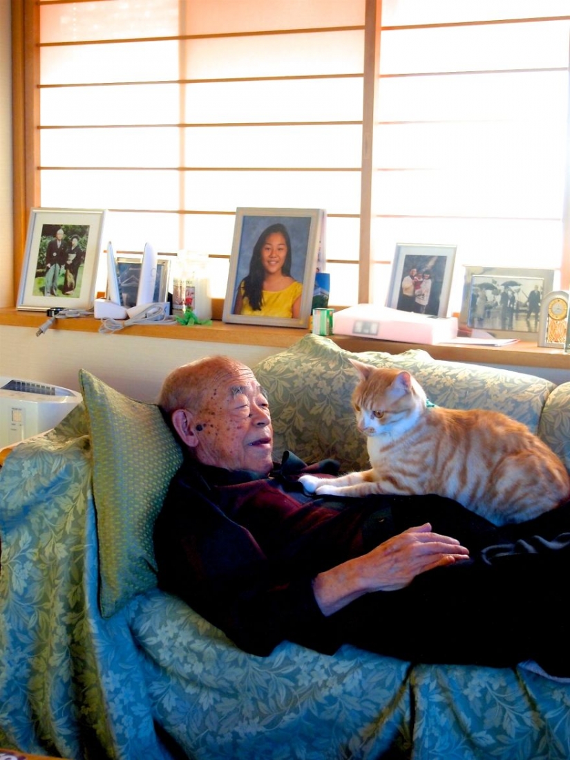 Japanese woman brought her grandfather back to life by giving him a kitten