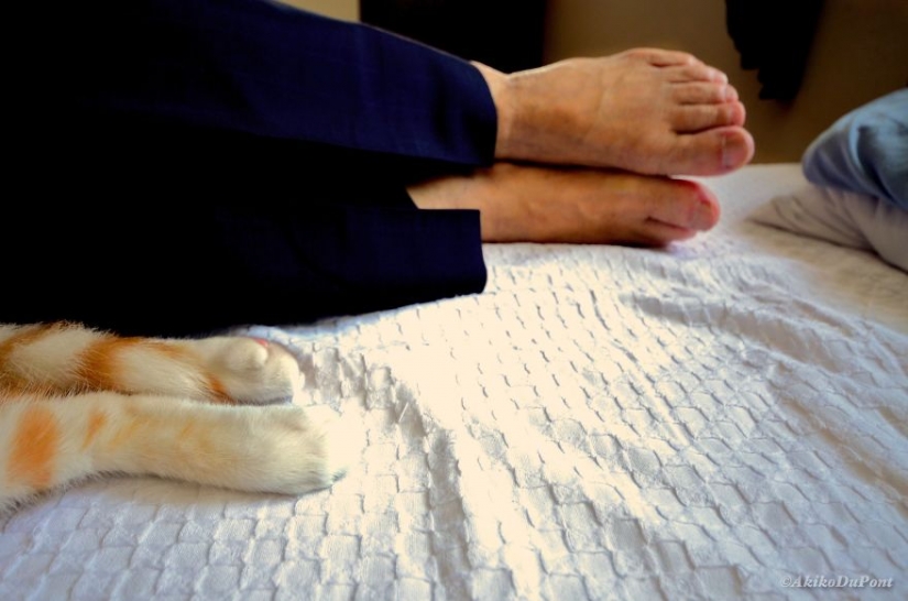 Japanese woman brought her grandfather back to life by giving him a kitten