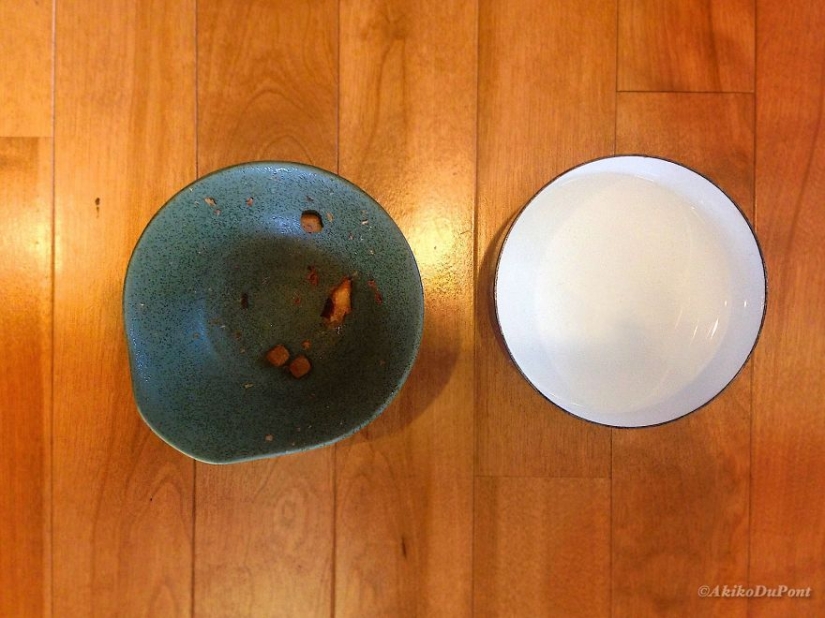 Japanese woman brought her grandfather back to life by giving him a kitten