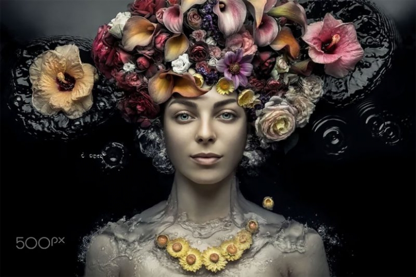 Jardín de belleza: conceptual de la flor retratos Evgeny Kolesnik