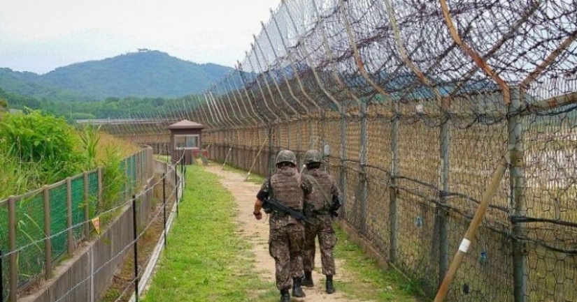 Jump to freedom: a gymnast from North Korea jumped over a three-meter fence in South Korea Jump to freedom: a gymnast from North Korea jumped over a three-meter fence in South Korea