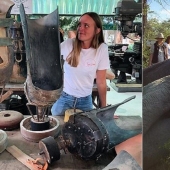 Jungle doctor se apresura al rescate: una chica veterinaria de Australia salva elefantes