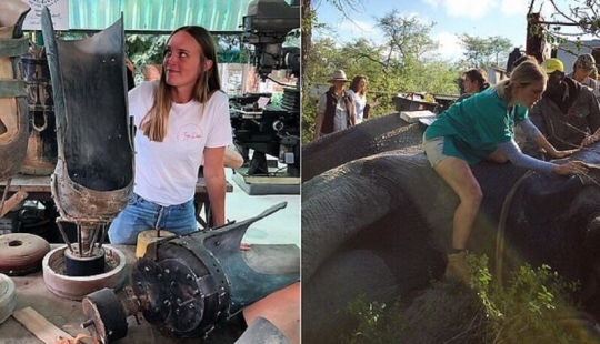 Jungle doctor se apresura al rescate: una chica veterinaria de Australia salva elefantes