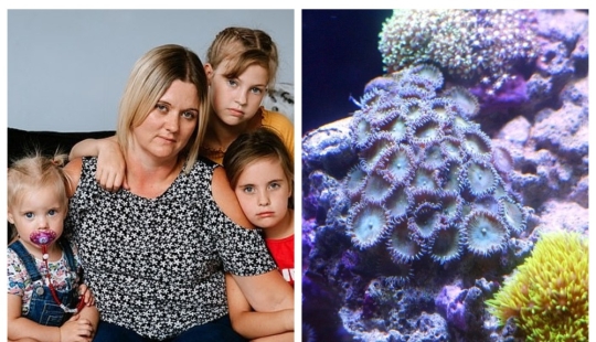 Killer Coral: Mother of four nearly died of poisoning after cleaning aquarium
