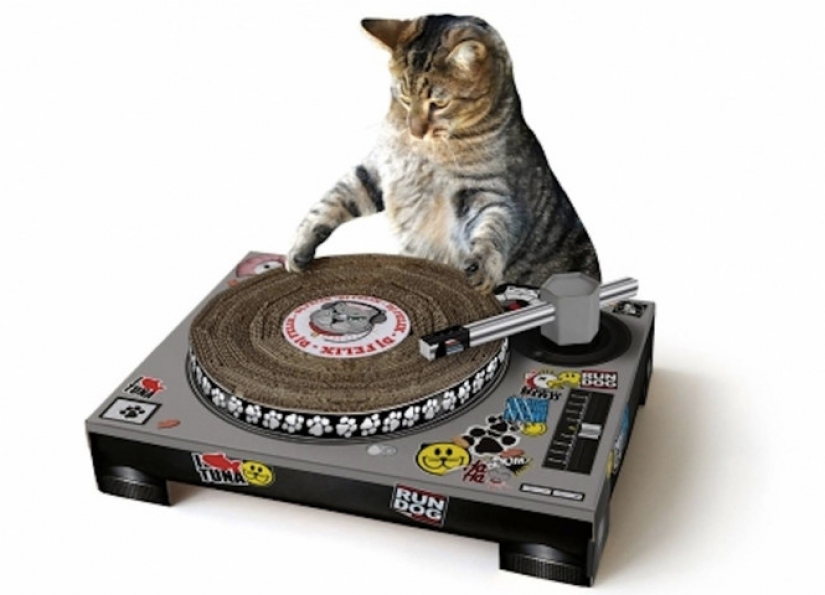 Koto-jugador de luz, el caballo, el asesino de las hormigas: 10 la mayoría de cosas inútiles que se venden en Internet