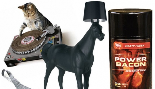 Koto-jugador de luz, el caballo, el asesino de las hormigas: 10 la mayoría de cosas inútiles que se venden en Internet Koto-jugador de luz, el caballo, el asesino de las hormigas: 10 la mayoría de cosas inútiles que se venden en Internet