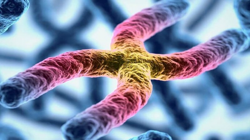 La belleza dentro de: un microbiólogo de la Ufa muestra en instagram los virus y bacterias que viven en nosotros