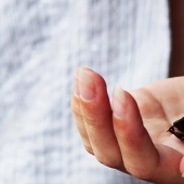 La bondad salvará el mundo: un veterinario de Tailandia se comprometió a tratar una cucaracha que fue pisada en el camino