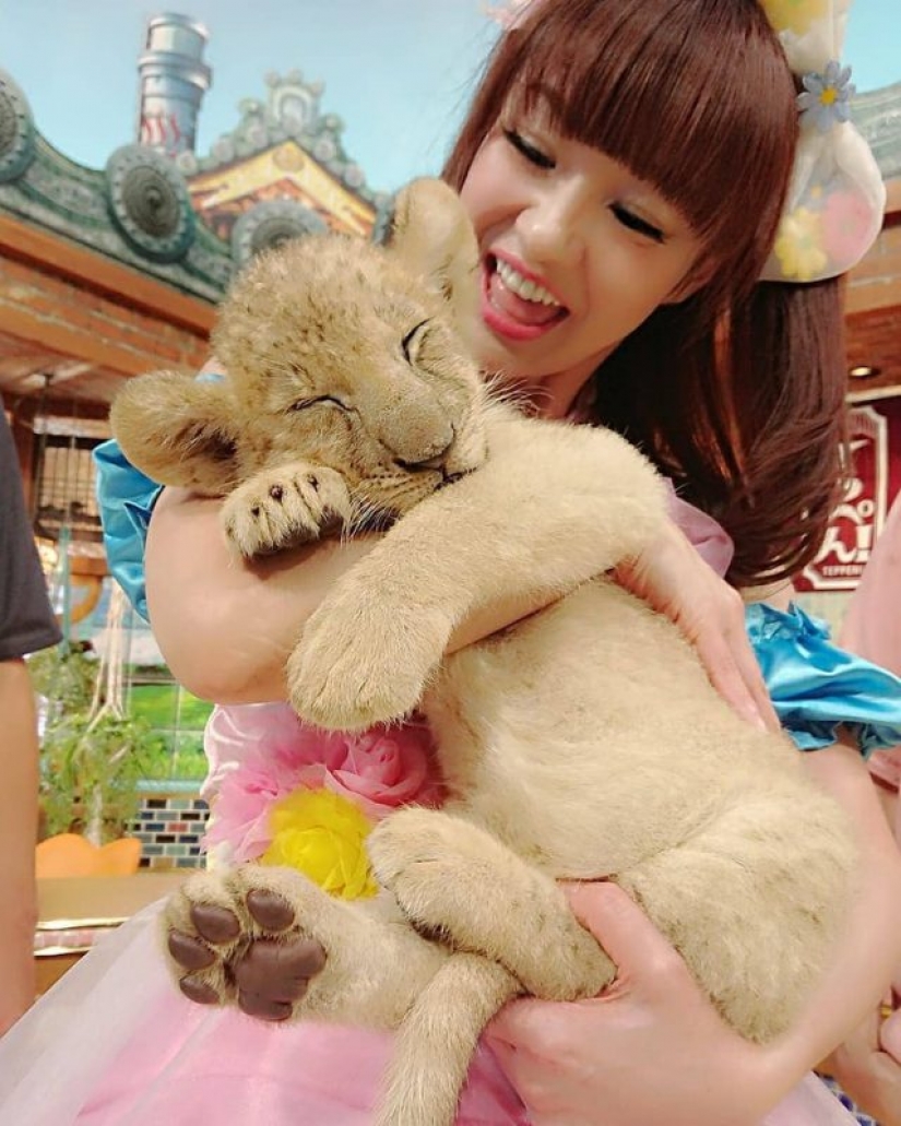 La chica Japonesa de cosplay en 50 años de distinguir de Colegialas