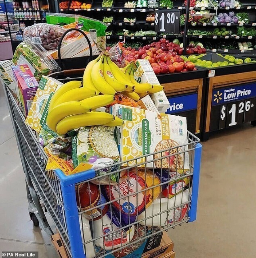 La esposa de 36 años del pastor ha dado a luz 11 veces, quedando embarazada cada año de matrimonio, y quiere más hijos La esposa de 36 años del pastor ha dado a luz 11 veces, quedando embarazada cada año de matrimonio, y quiere más hijos