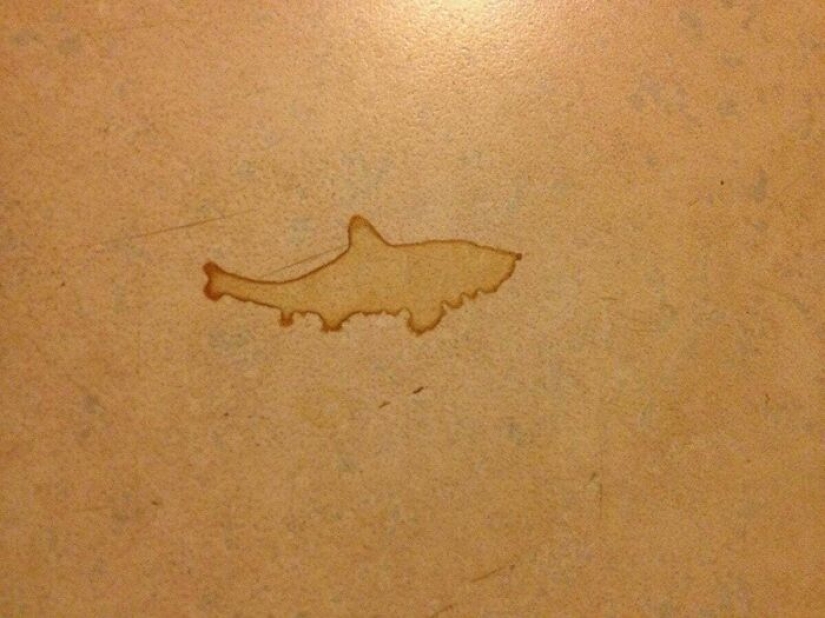 La gente comparte el arte del café al azar