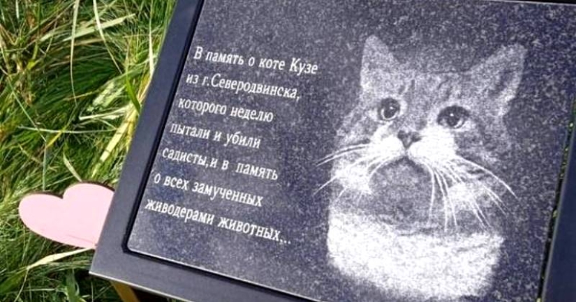 La historia de Kuzi, el gato torturado por los knackers, a quien se erigió un monumento