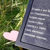 La historia de Kuzi, el gato torturado por los knackers, a quien se erigió un monumento