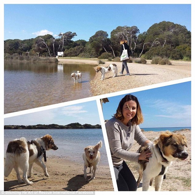 La increíble transformación de Pascal