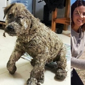 La increíble transformación de Pascal