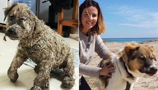 La increíble transformación de Pascal La increíble transformación de Pascal