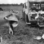 La inglaterra de la posguerra en las fotos de Thurston Hopkins