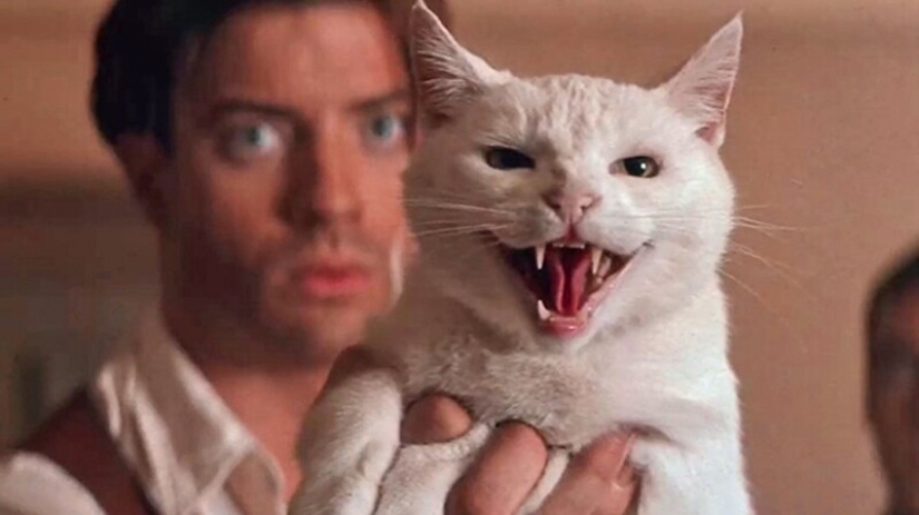 La mascota de la década de los 90: los ciudadanos de la red de Expresar su amor Brendan Fraser