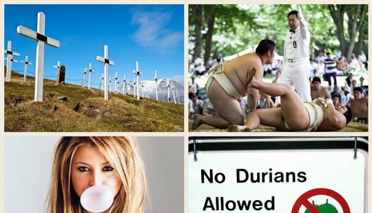 La más extraña de las leyes en el mundo La más extraña de las leyes en el mundo