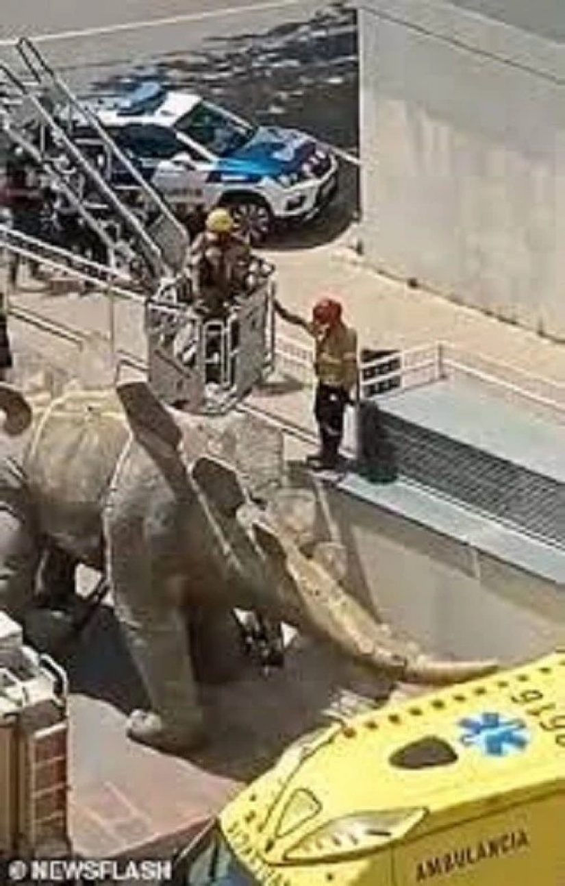 La muerte más ridícula: Alcancé mi teléfono, me quedé atrapado en un dinosaurio La muerte más ridícula: Alcancé mi teléfono, me quedé atrapado en un dinosaurio