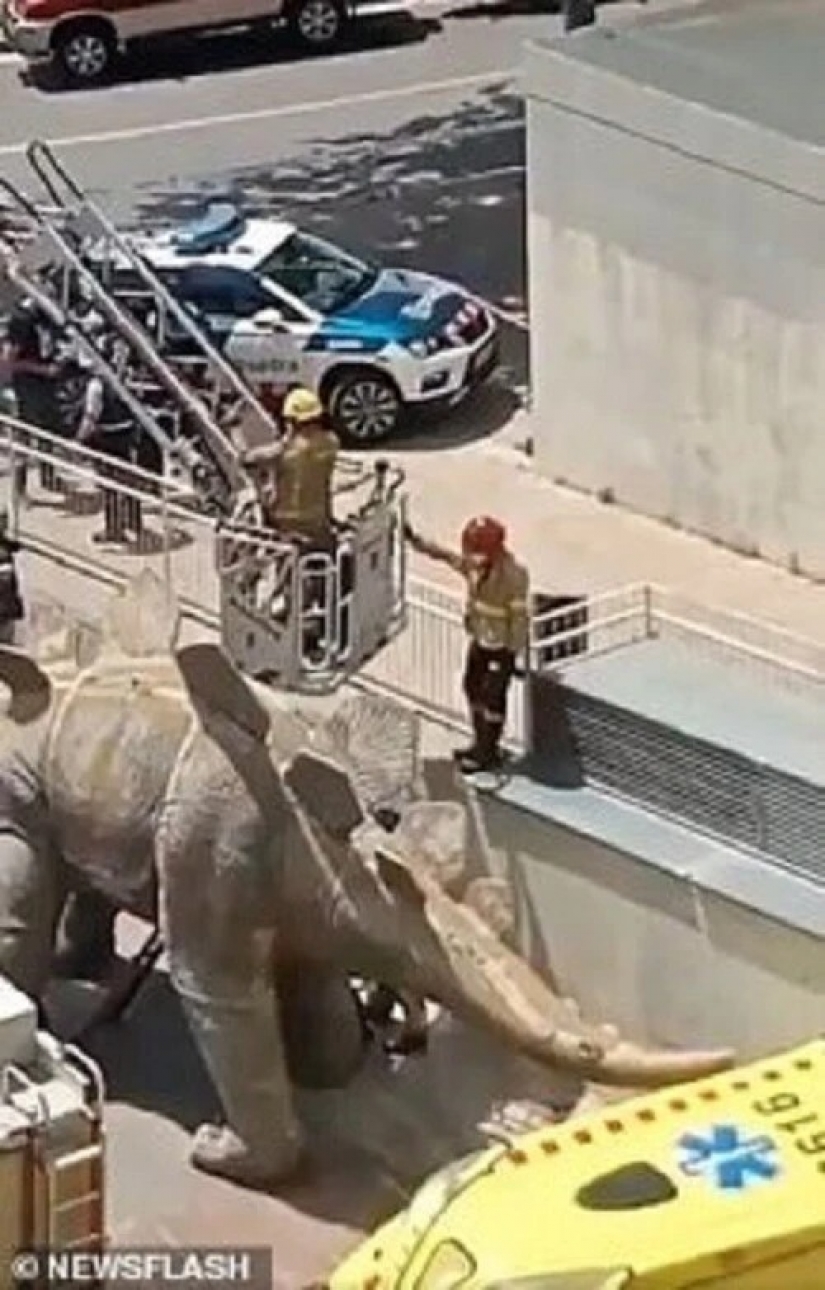 La muerte más ridícula: Alcancé mi teléfono, me quedé atrapado en un dinosaurio La muerte más ridícula: Alcancé mi teléfono, me quedé atrapado en un dinosaurio