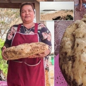 La mujer se encuentra en la playa vómito de ballena que ella podría hacer más de un cuarto de millón de dólares
