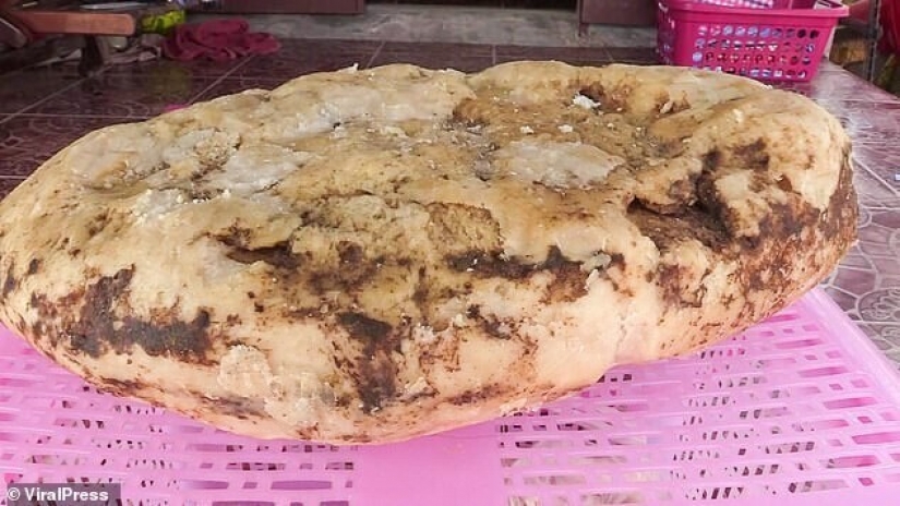 La mujer se encuentra en la playa vómito de ballena que ella podría hacer más de un cuarto de millón de dólares La mujer se encuentra en la playa vómito de ballena que ella podría hacer más de un cuarto de millón de dólares