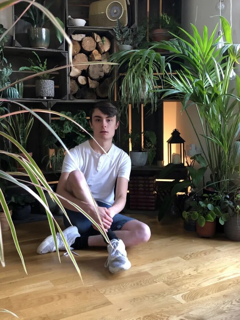 La selva está llamando: cómo vivir en un apartamento lleno de plantas de interior