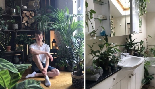 La selva está llamando: cómo vivir en un apartamento lleno de plantas de interior La selva está llamando: cómo vivir en un apartamento lleno de plantas de interior