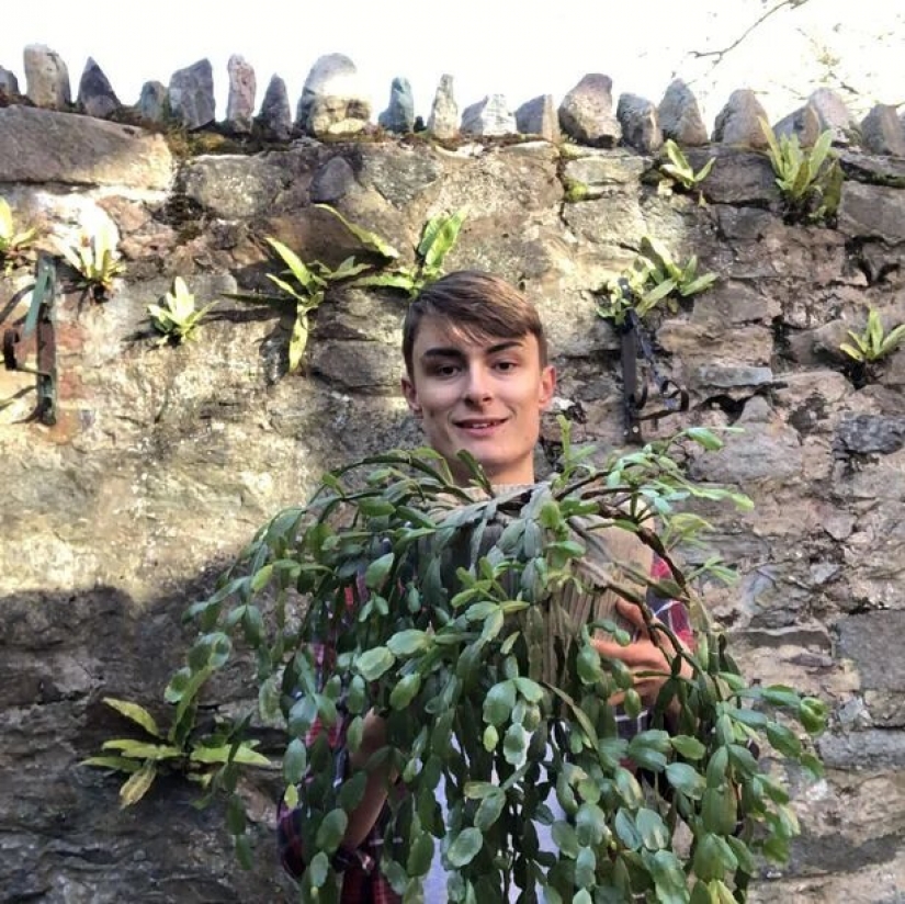 La selva está llamando: cómo vivir en un apartamento lleno de plantas de interior