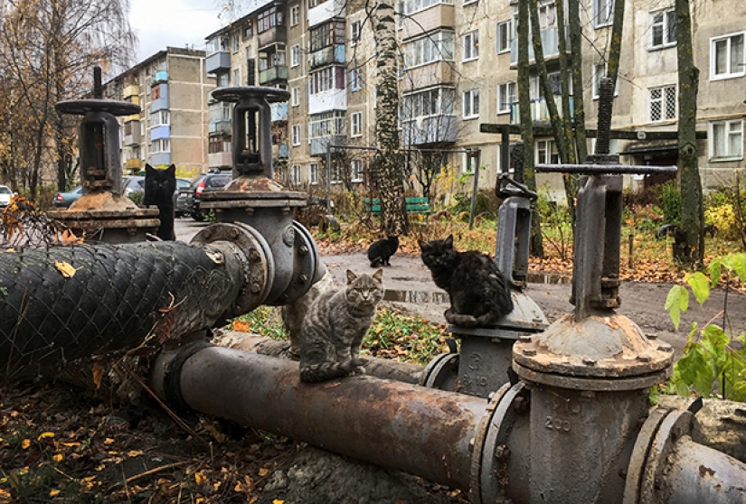 La vida en la parte inferior de las calificaciones: ¿por qué los residentes no abandonan la ciudad más peligrosa de Rusia?