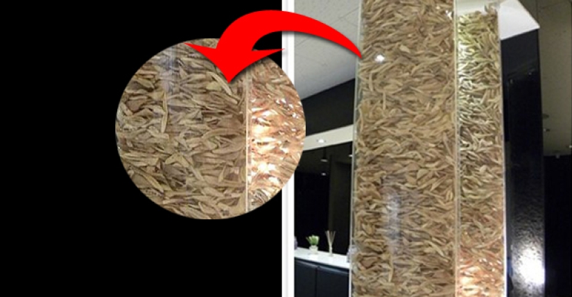 "Labios de cereza", reducción de mandíbula, fosas nasales de plástico: ¿qué operaciones son populares en Corea del Sur