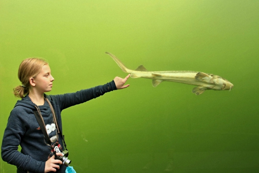 Lago directamente arriba