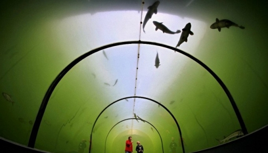 Lago directamente arriba Lago directamente arriba