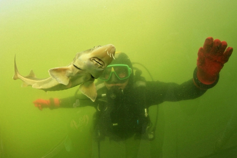 Lago directamente arriba