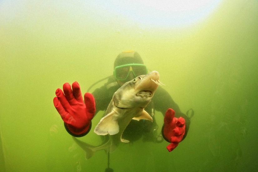 Lake directly overhead