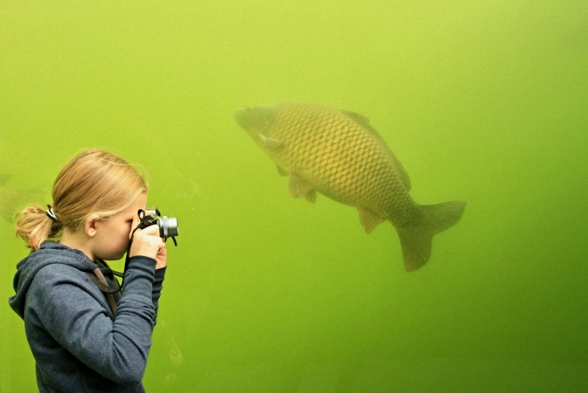 Lake directly overhead