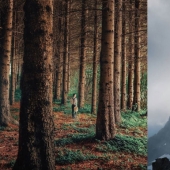 Las 25 Mejores Cuentas de Instagram a las que los Fotógrafos Novatos deben suscribirse