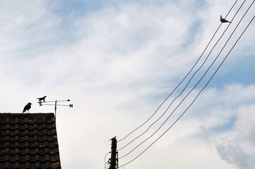 Las divertidas fotos callejeras de Niels Jorgensen Las divertidas fotos callejeras de Niels Jorgensen