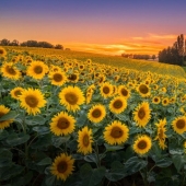 Las fotos más espectaculares del concurso Fine Art Photography Awards