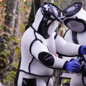 Las imágenes de la operación para destruir el nido de avispones asesinos en los Estados Unidos sorprendieron a los usuarios