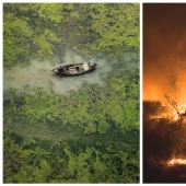 Las mejores eco-fotos del concurso Fotógrafo Ambiental 2021