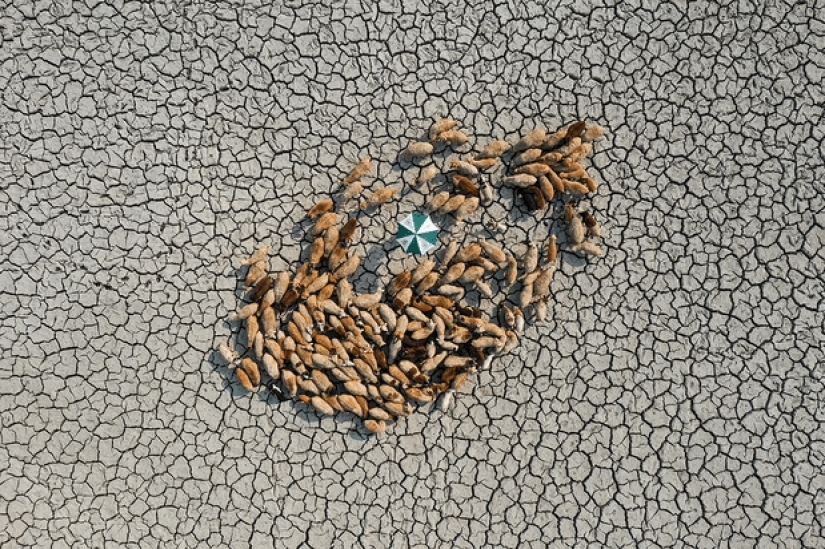 Las mejores eco-fotos del concurso Fotógrafo Ambiental 2021