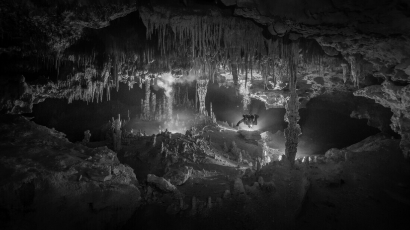 Las mejores fotos del concurso de fotografía monocromática MonoVisions Photography Awards 2021 Las mejores fotos del concurso de fotografía monocromática MonoVisions Photography Awards 2021