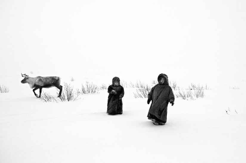 Las mejores fotos del concurso de fotografía monocromática MonoVisions Photography Awards 2021 Las mejores fotos del concurso de fotografía monocromática MonoVisions Photography Awards 2021