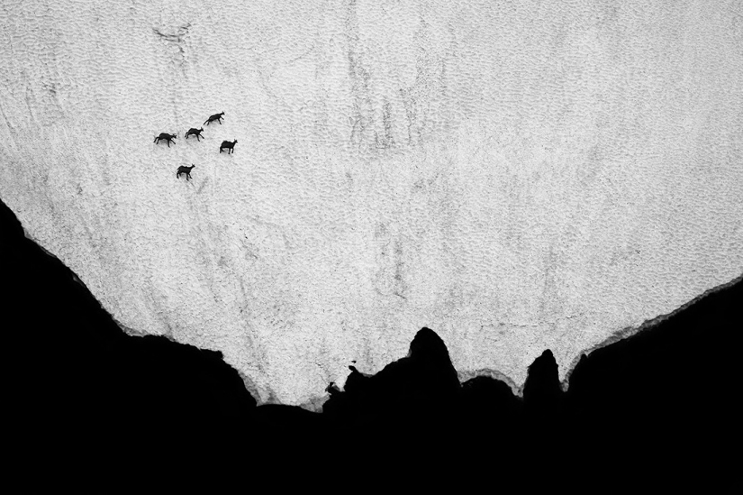 Las mejores fotos del concurso de fotografía monocromática MonoVisions Photography Awards 2021 Las mejores fotos del concurso de fotografía monocromática MonoVisions Photography Awards 2021