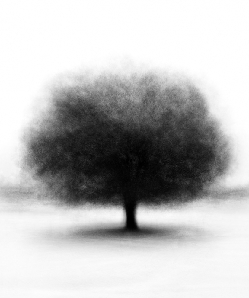 Las mejores fotos del concurso de fotografía monocromática MonoVisions Photography Awards 2021 Las mejores fotos del concurso de fotografía monocromática MonoVisions Photography Awards 2021