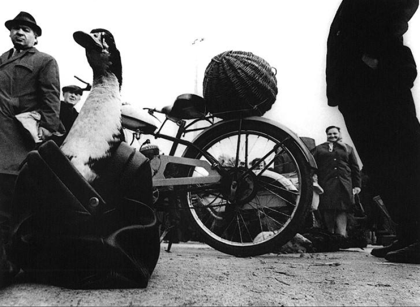 Las mejores obras de los fotógrafos soviéticos lituanos