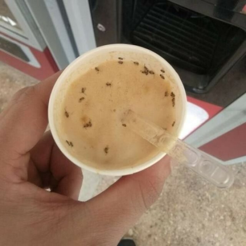 Las peores comidas que alguien se atrevió a servir