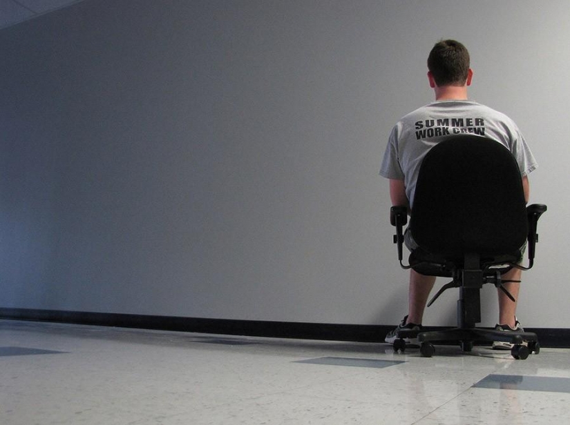 Las profesiones más inusuales y extrañas que ni siquiera conocías